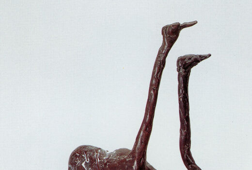 ostriches, 1993