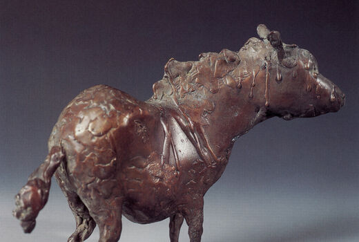 pony, 2001