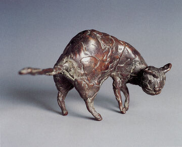 cat, 2001