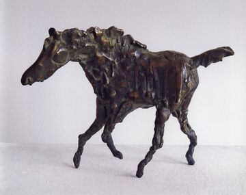 horse, 2008