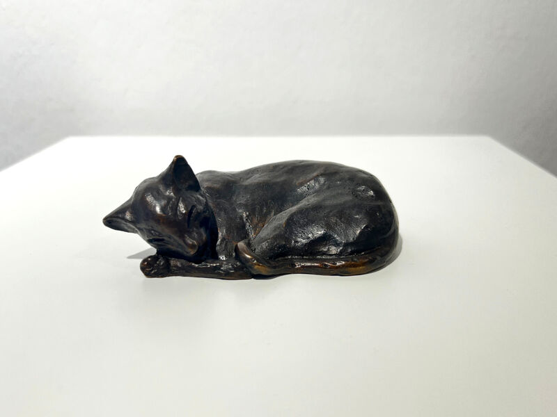 kleine, zusammengerollte Katze, 1984