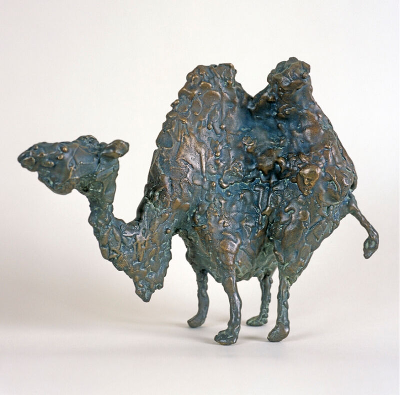 camel, 2003