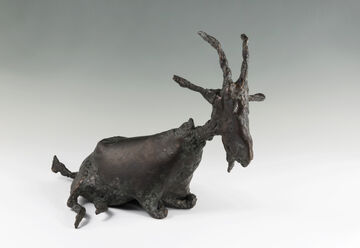 goat lying down, 2018