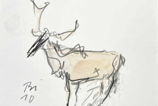 moose, 2010
