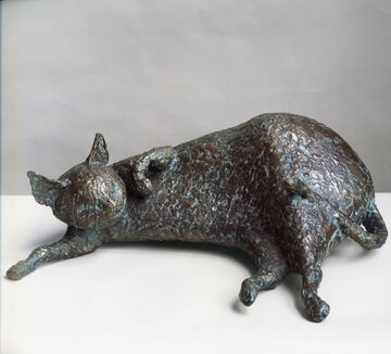 cat, 2007