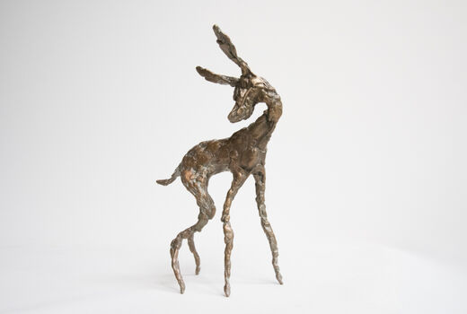fawn, 2014
