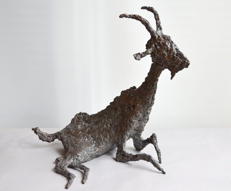 sitting goat, 2017