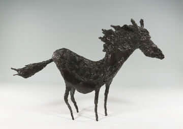 horse, 2018