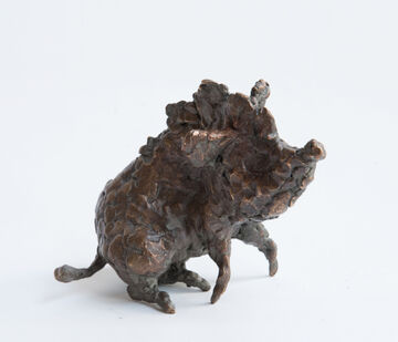 sitting sow, 2014