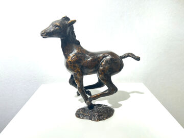 large, galloping foal, 1964