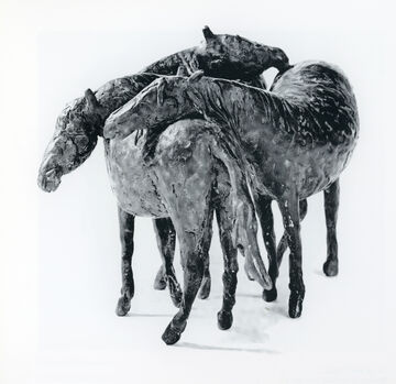 group of horses, 1988