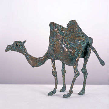 camel, 2003