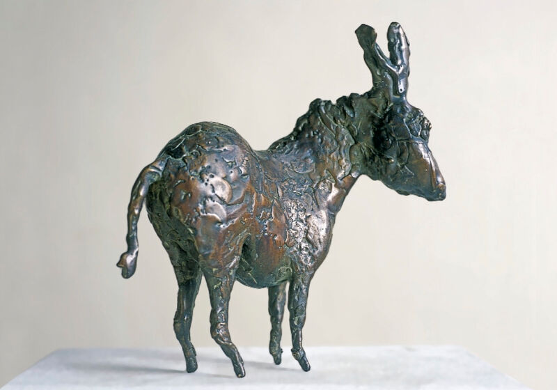 donkey, 2004