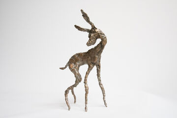 fawn, 2014