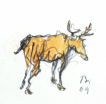 moose, 2009