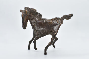 Foal, 2008