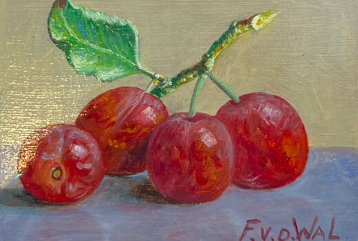 still life with cherries