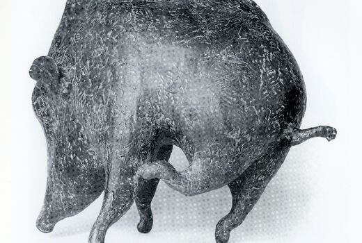 wild boar, 1986