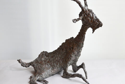 sitting goat, 2017