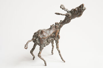 screaming donkey, 2014