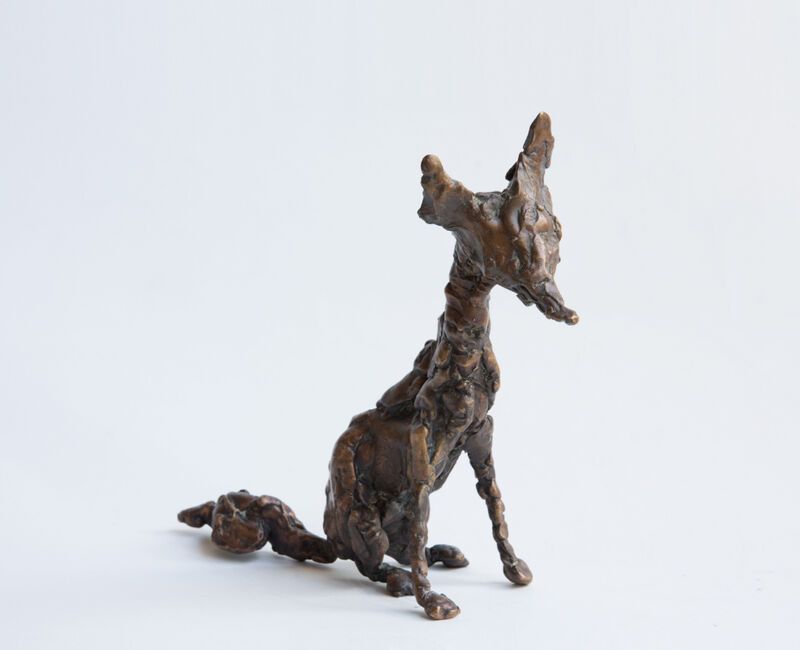 small sitting fox, 2013