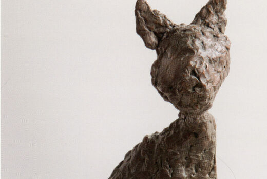 sitting cat, 2018