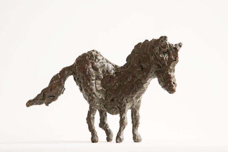 horse, 2016