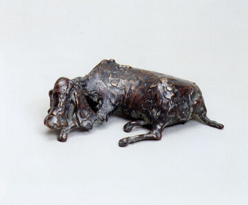 dog lying down, 1997