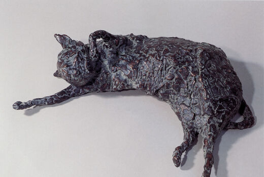 cat, 2000