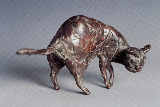 cat, 2001