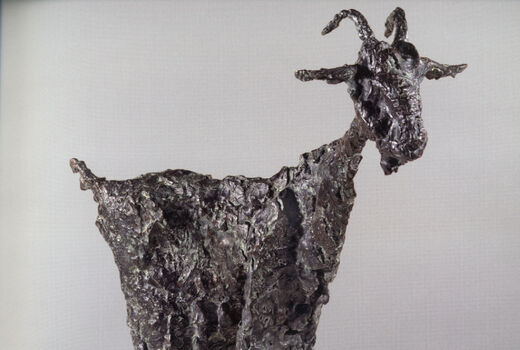 goat, 2005