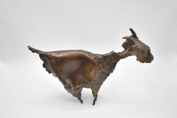 Goat, 2007