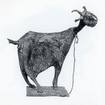 goat, 1986