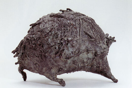 hedgehog, 1995