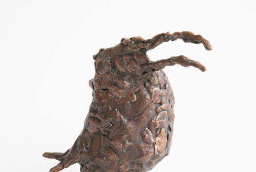 bird, 2017