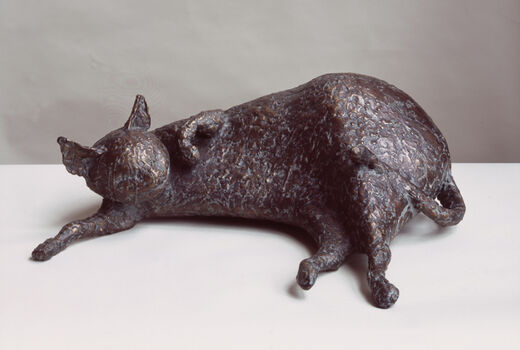 cat lying down, 2007
