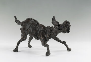 playing dog, 2010