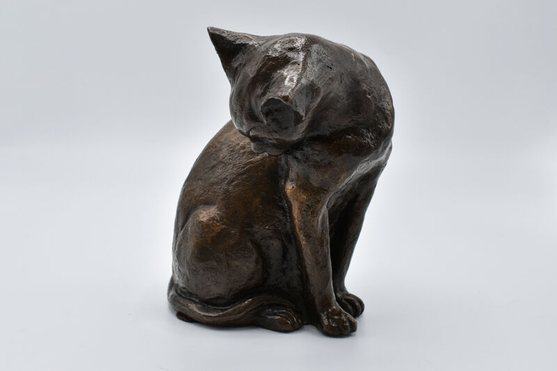 Katze, 1981