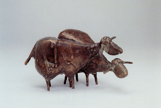 scheep, 1996