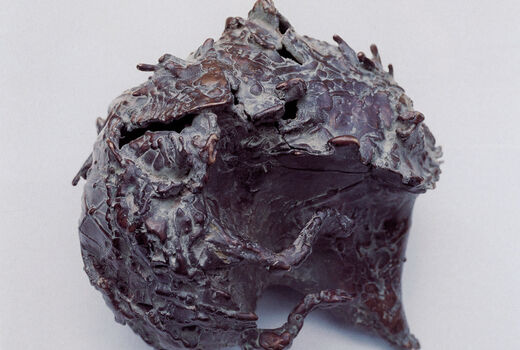 hedgehog, 2000