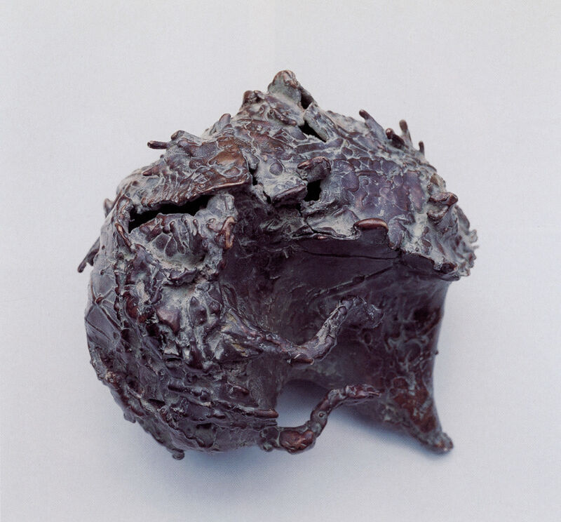 hedgehog, 2000