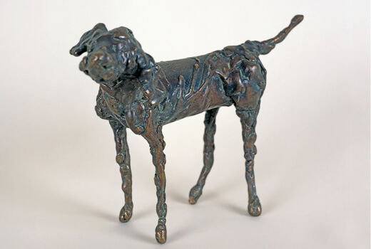 dog, 2004