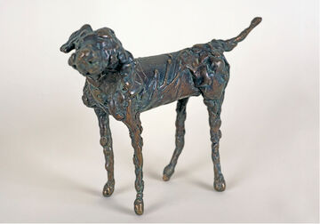 dog, 2004