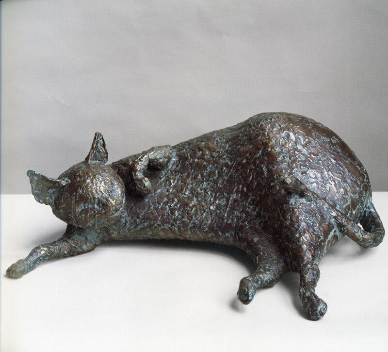 cat, 2007