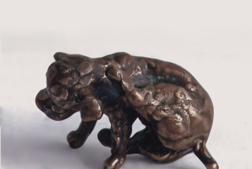 puppy, 2008