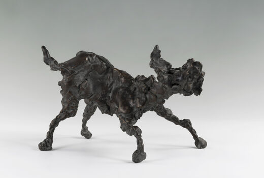 playing dog, 2010