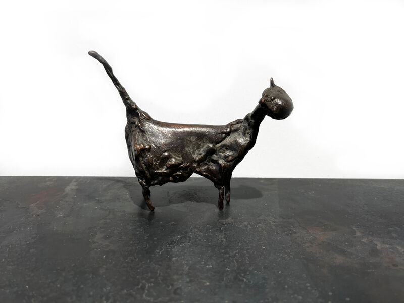 cat, 1997