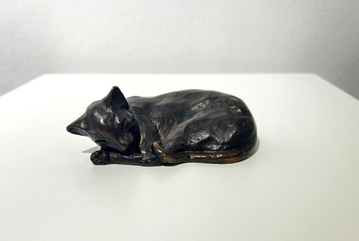 kleine, zusammengerollte Katze, 1984