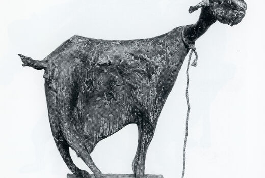 goat, 1986