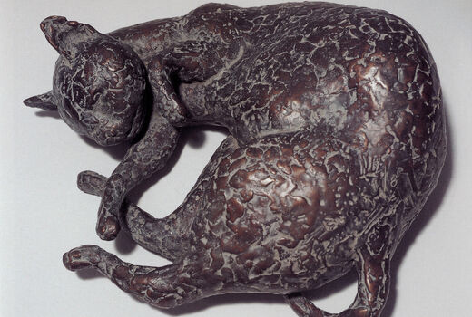 cat, 2000